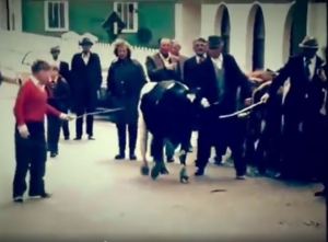 Still from a Fair Day in Clare. Village is Kilmihil.